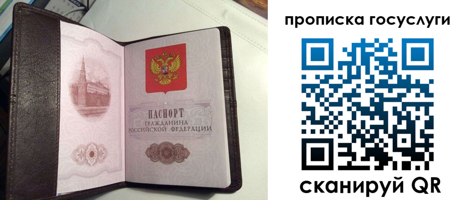 временная прописка в Новопавловске